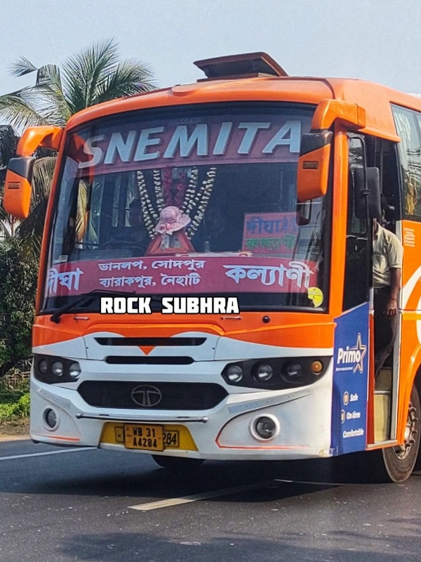 SNEMITA bus WB31A4284
