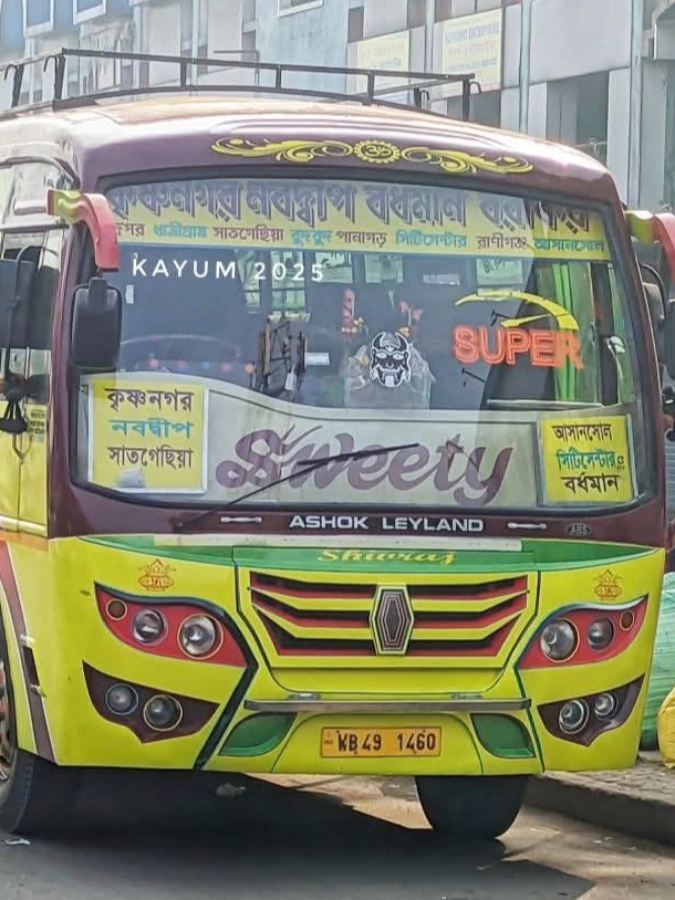 SWEETY bus WB491460