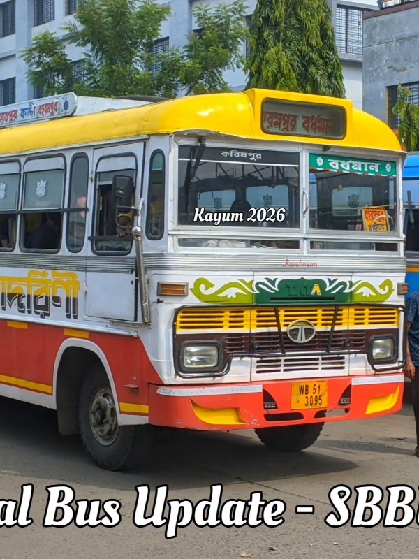 ADORINI bus WB513095