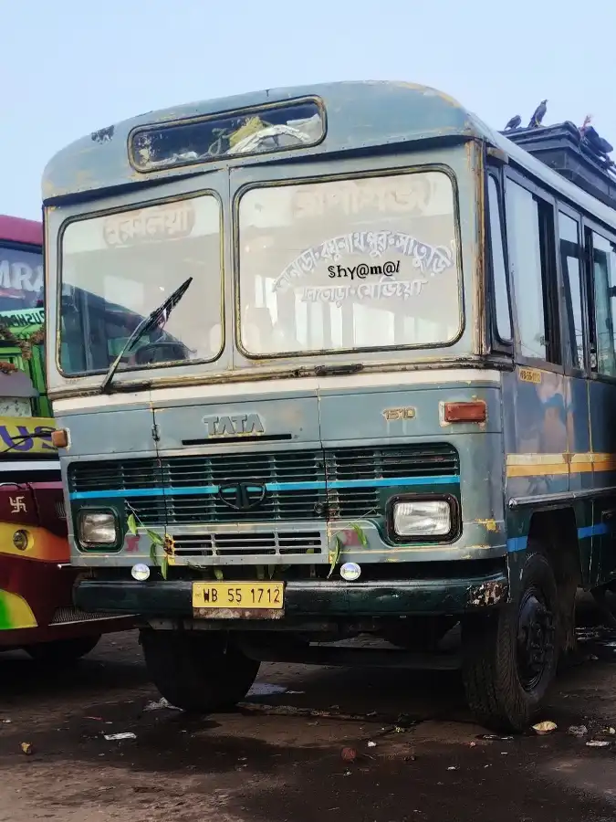 DOLPHIN bus WB551712