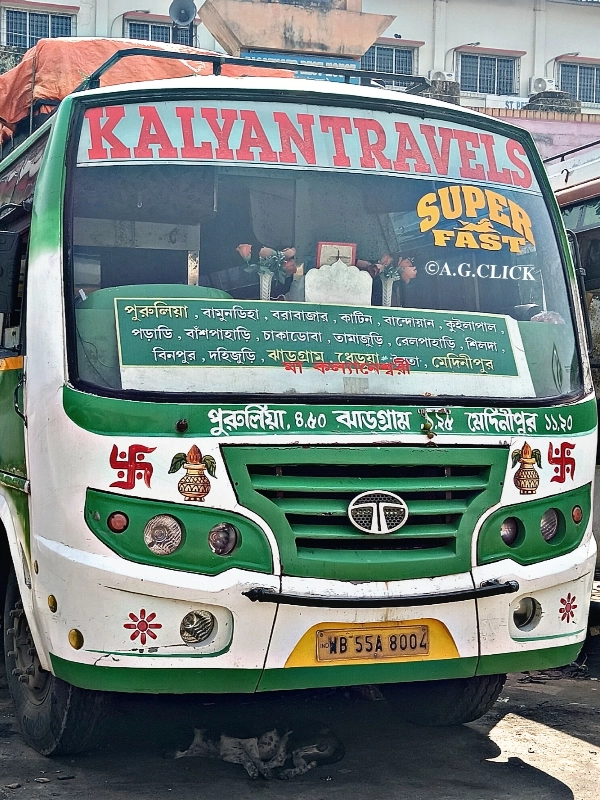 JOY GORAM bus WB55A8004
