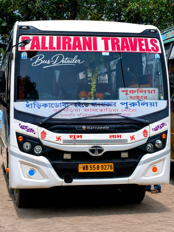 PALLIRANI bus WB55B9276